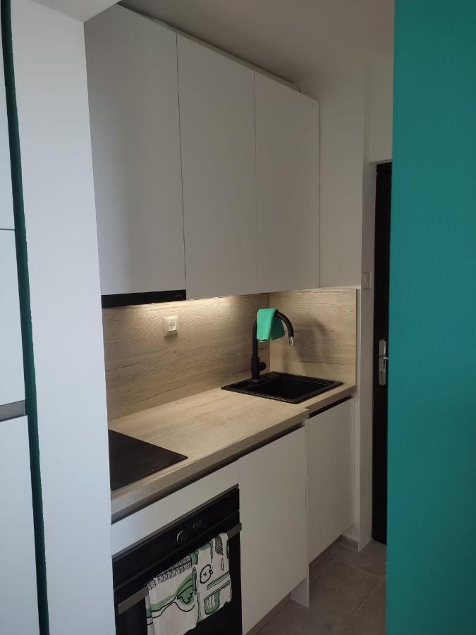 Studio Apartman Irma Cervar 波雷奇 外观 照片